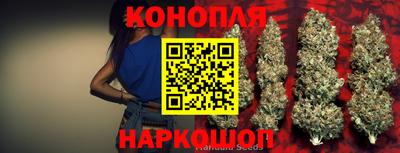 дживик Донской